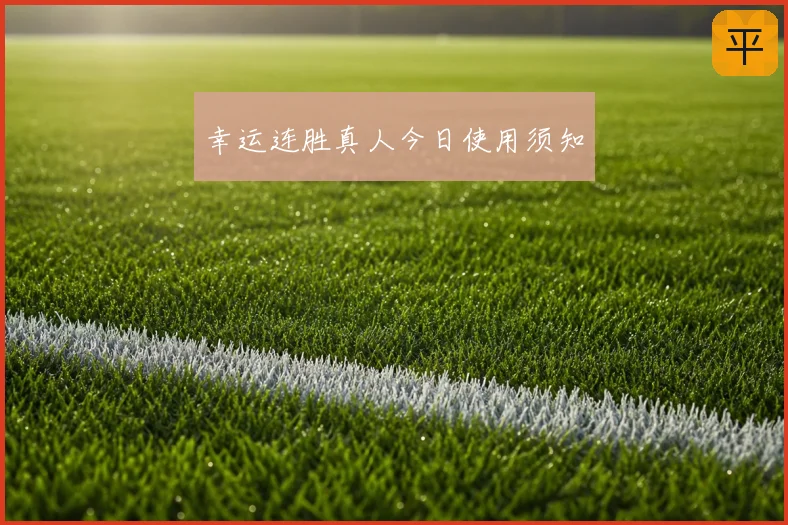 幸运连胜真人今日使用须知